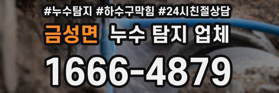 금성면 누수 탐지 업체