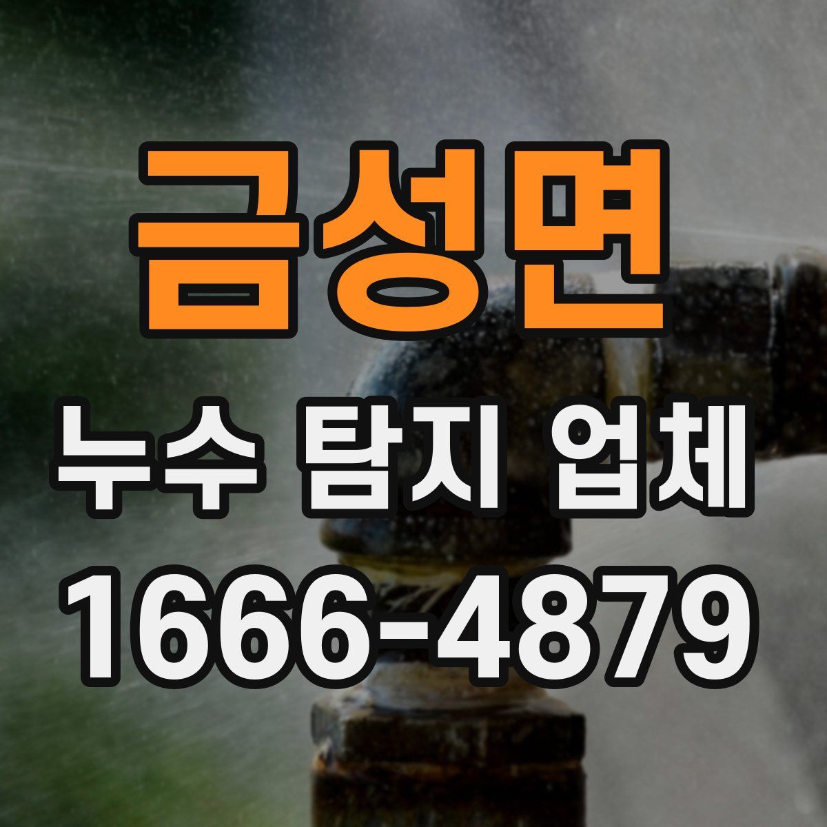 금성면 누수 탐지 업체