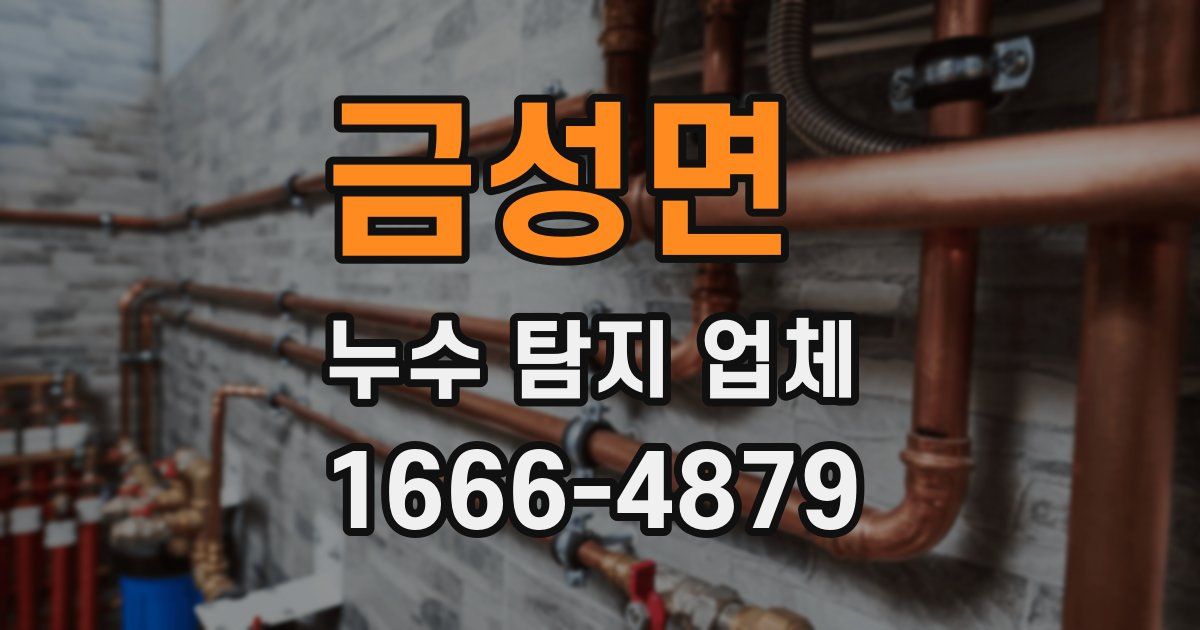금성면 누수 탐지 업체