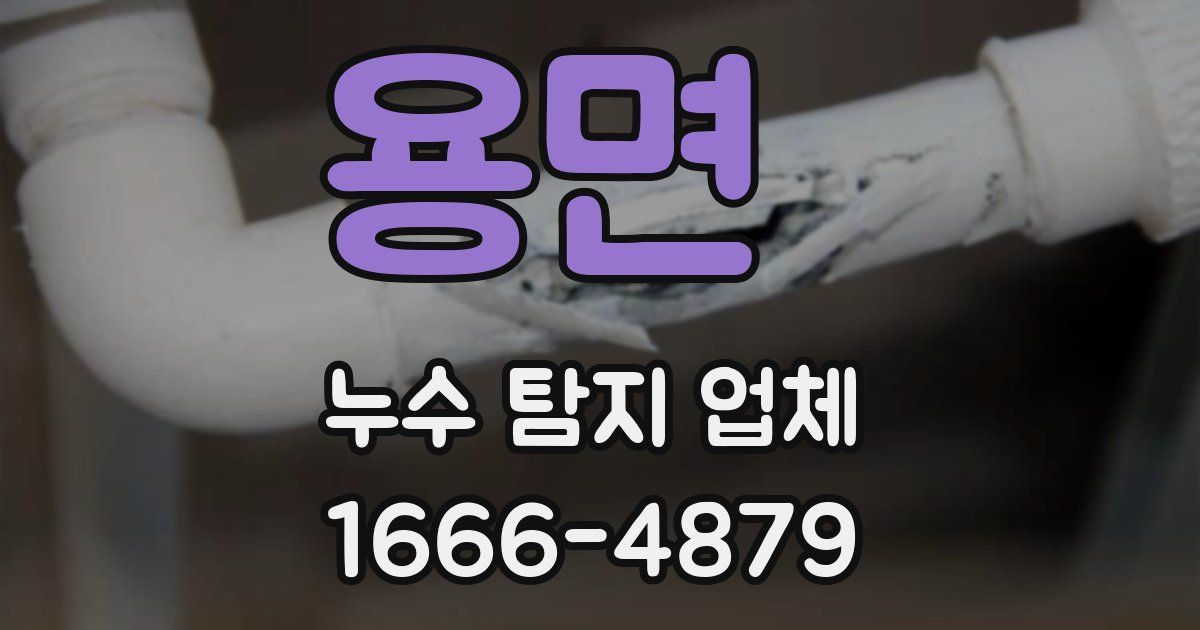 용면 누수 탐지 업체