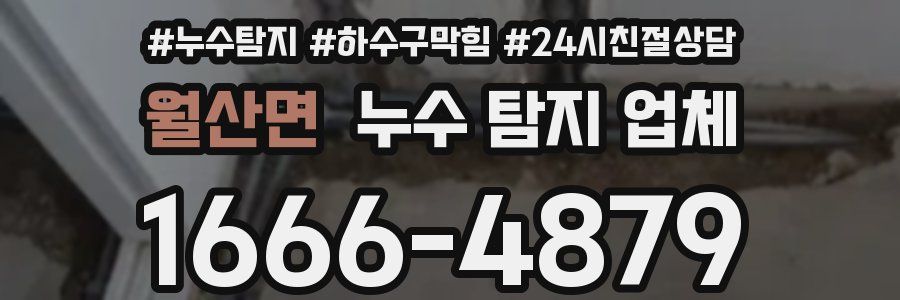 월산면 누수 탐지 업체