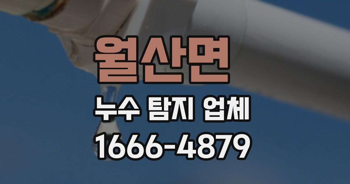 월산면 누수 탐지 업체