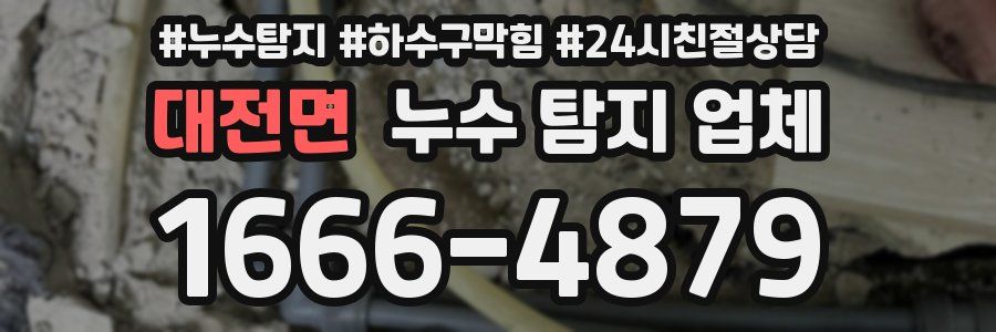 대전면 누수 탐지 업체