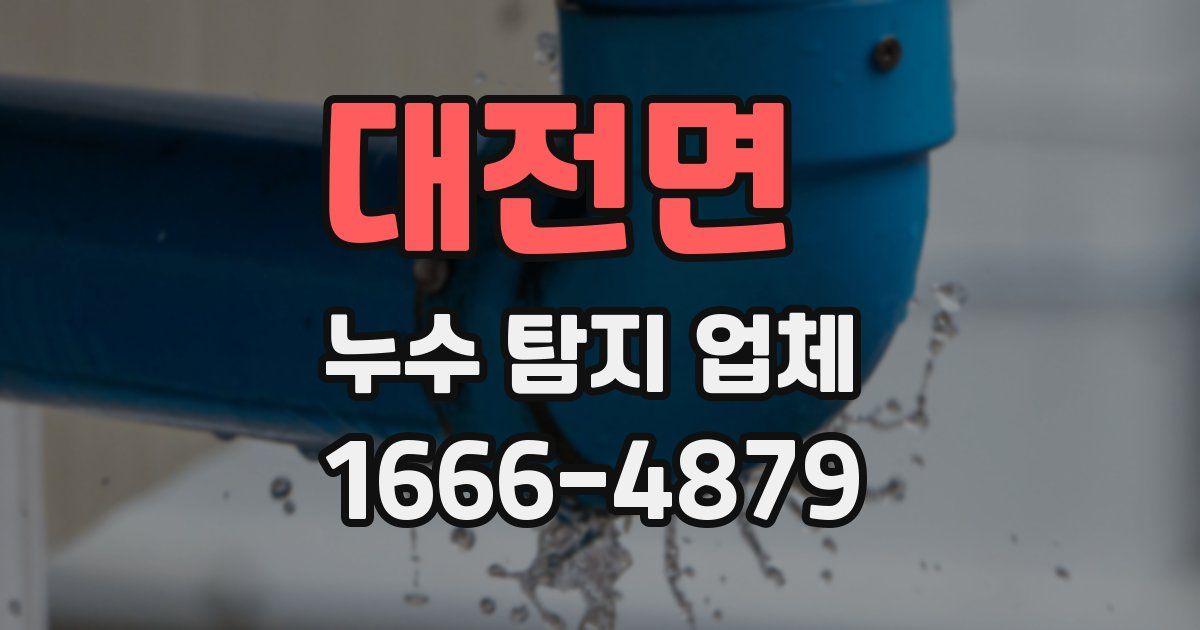 대전면 누수 탐지 업체