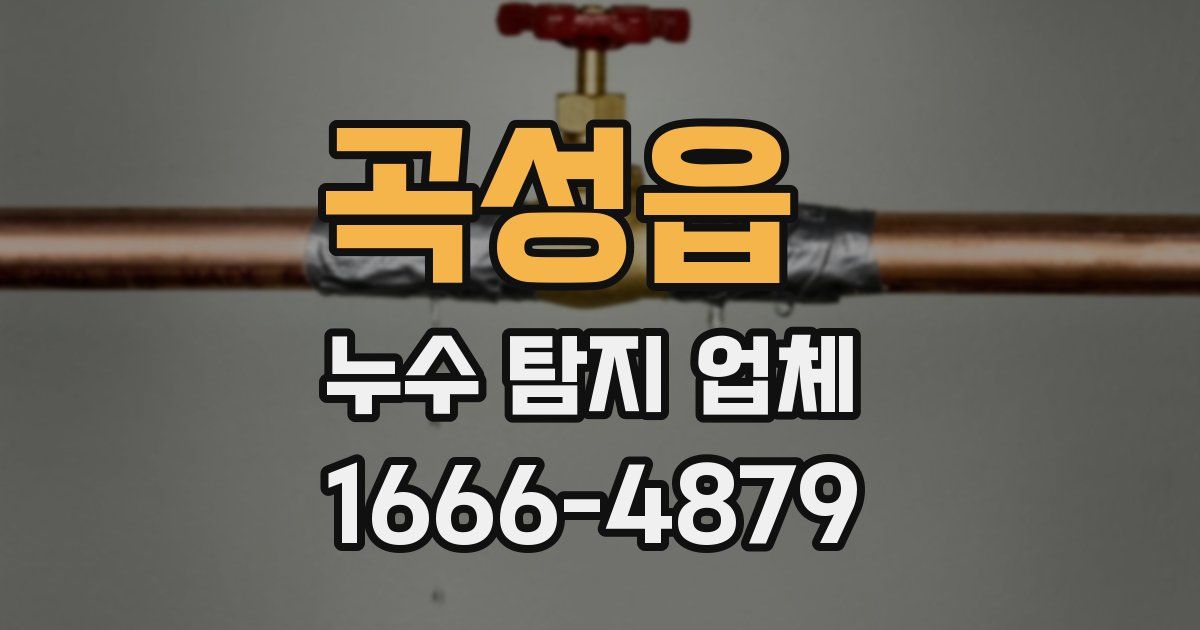 곡성읍 누수 탐지 업체