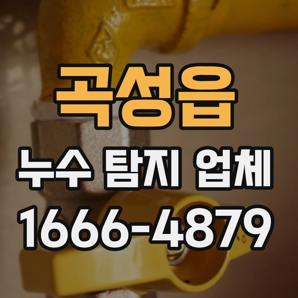 곡성읍 누수 탐지 업체