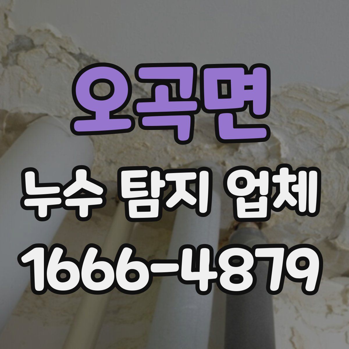 오곡면 누수 탐지 업체