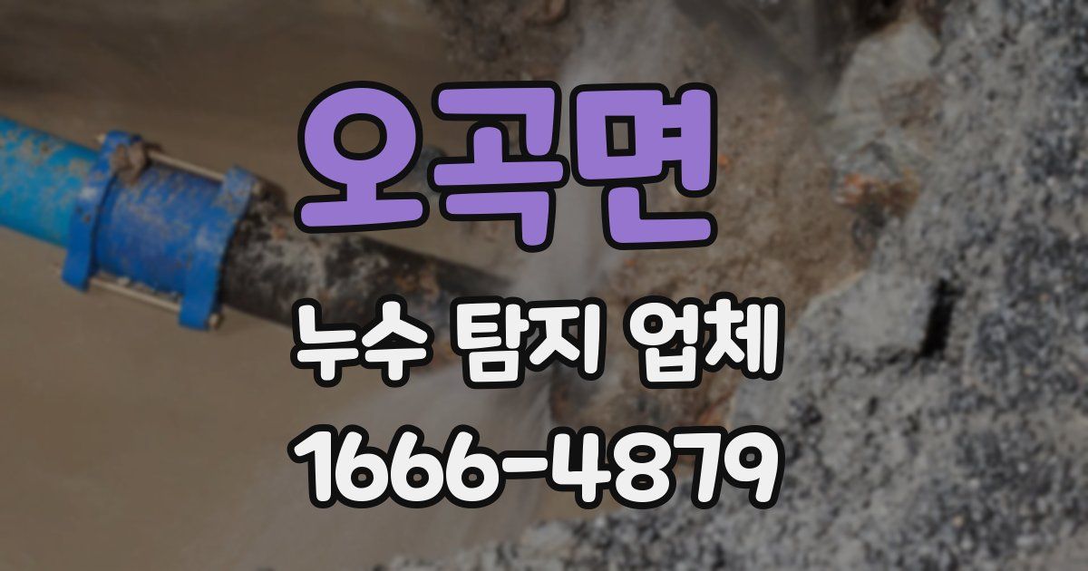 오곡면 누수 탐지 업체