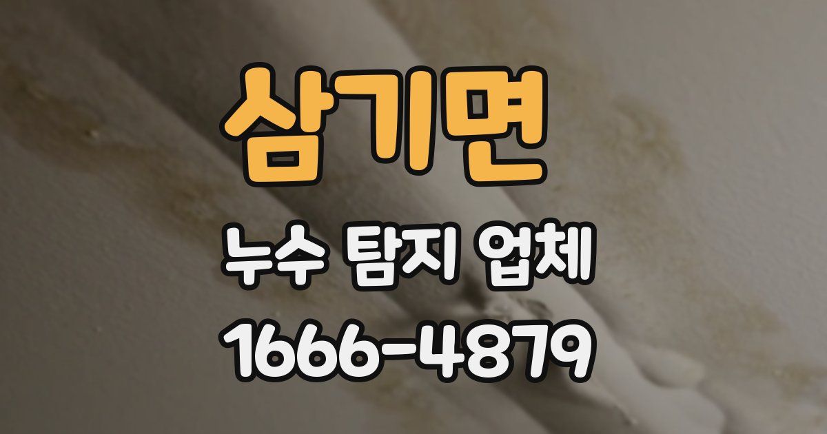 삼기면 누수 탐지 업체