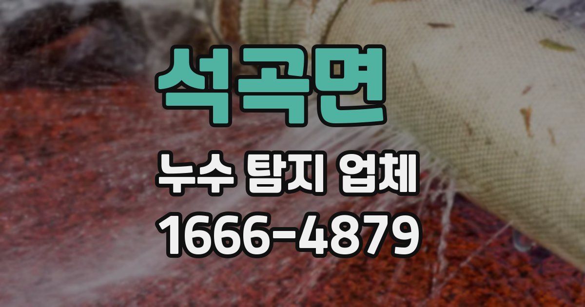 석곡면 누수 탐지 업체