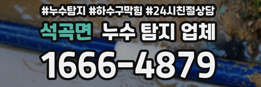 석곡면 누수 탐지 업체