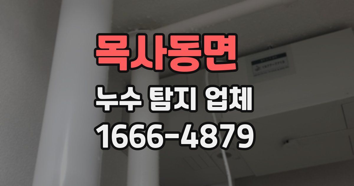 목사동면 누수 탐지 업체