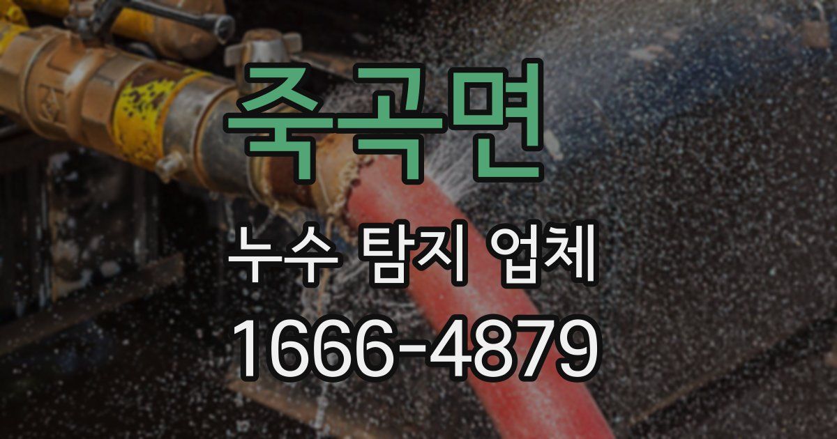 죽곡면 누수 탐지 업체