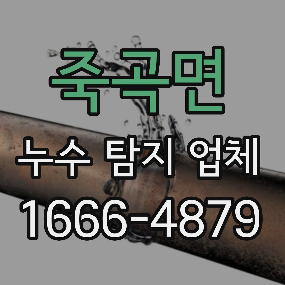 죽곡면 누수 탐지 업체
