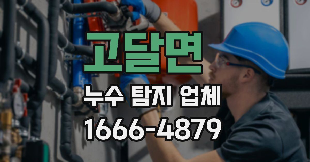 고달면 누수 탐지 업체