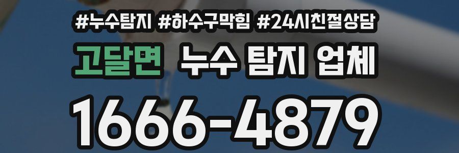 고달면 누수 탐지 업체