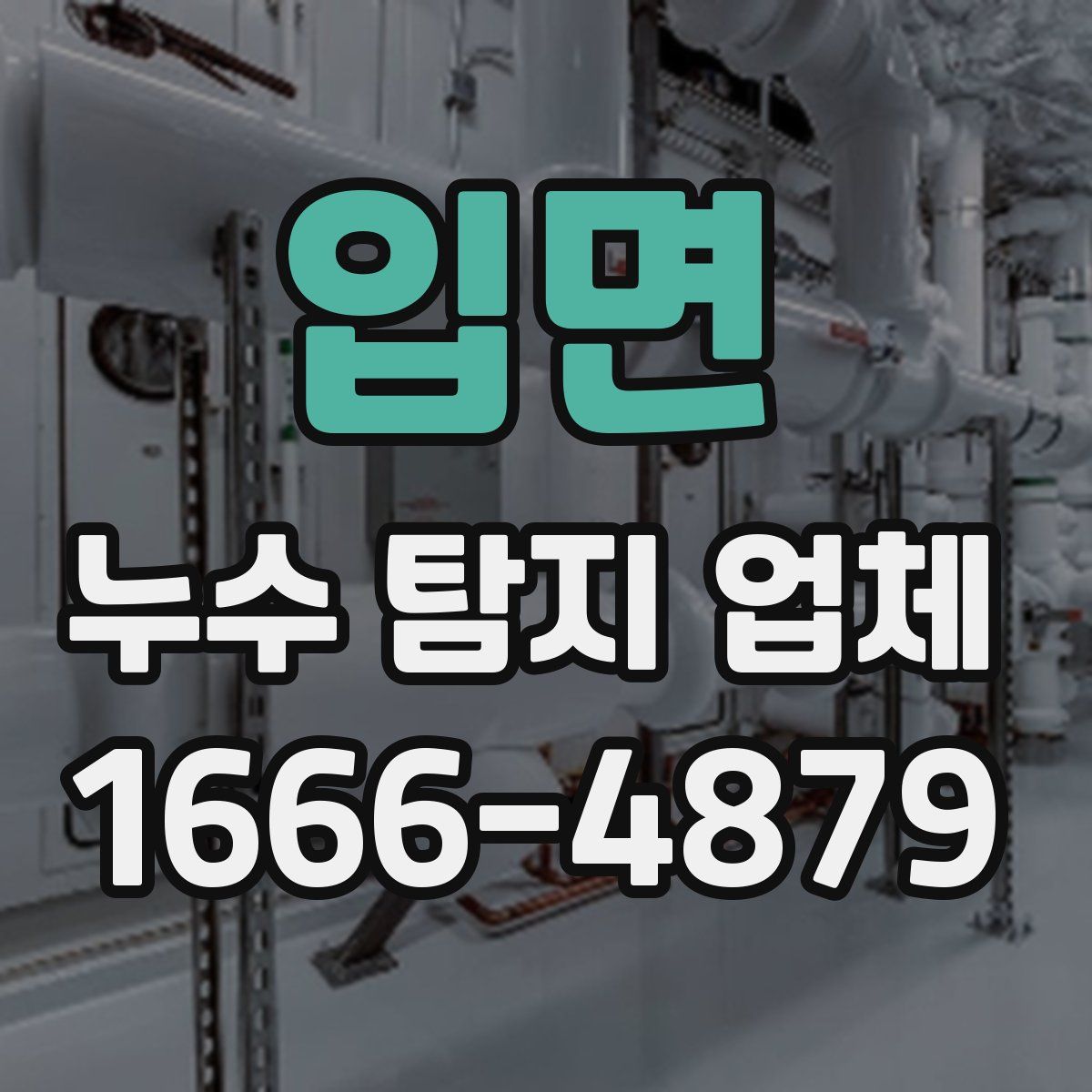 입면 누수 탐지 업체