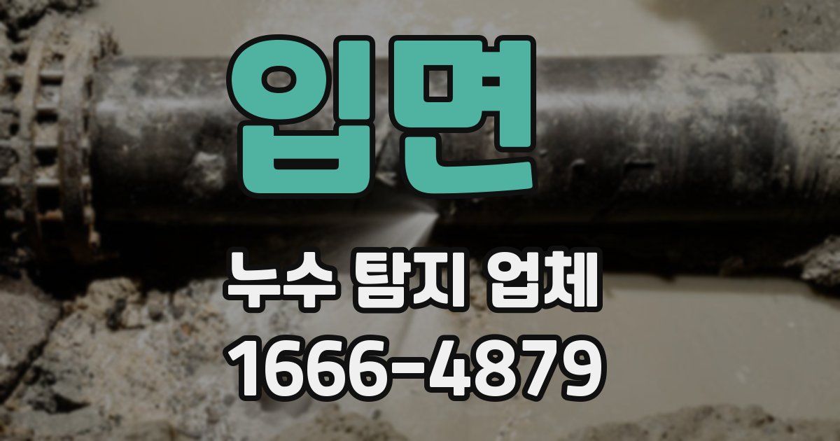 입면 누수 탐지 업체