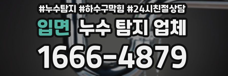 입면 누수 탐지 업체