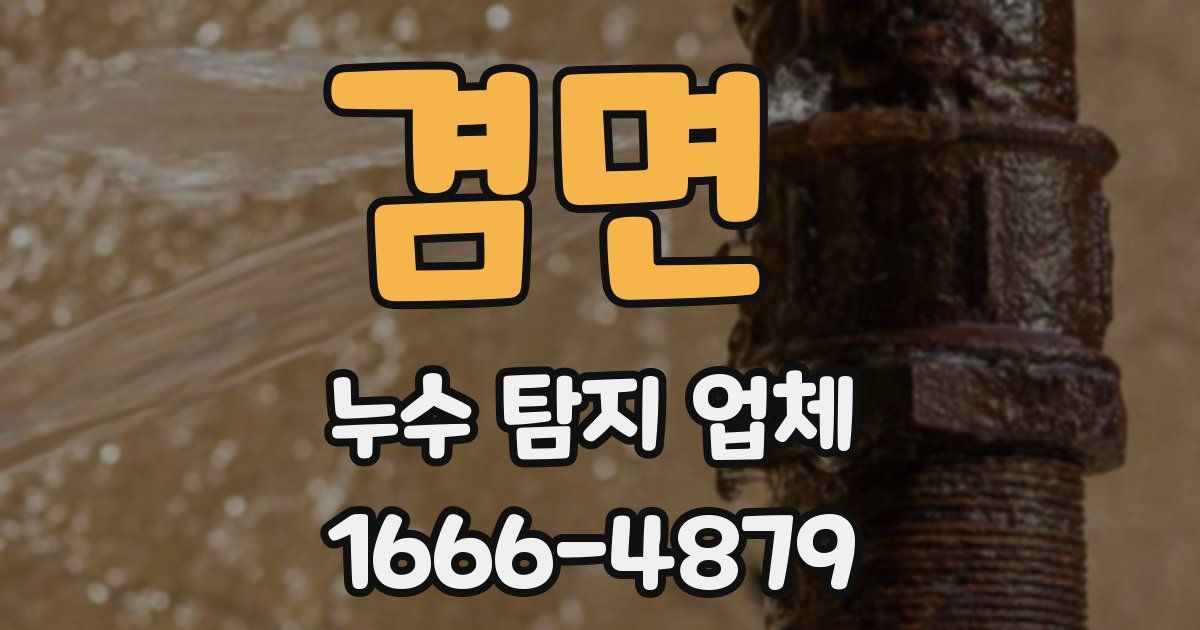겸면 누수 탐지 업체