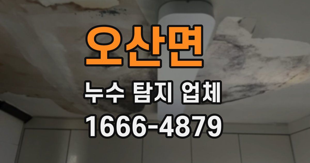 오산면 누수 탐지 업체