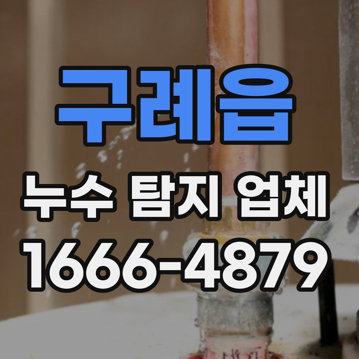 구례읍 누수 탐지 업체