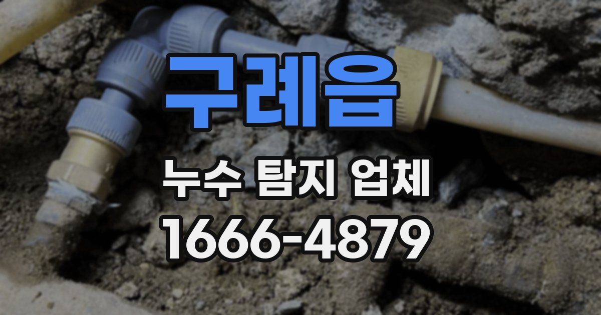 구례읍 누수 탐지 업체
