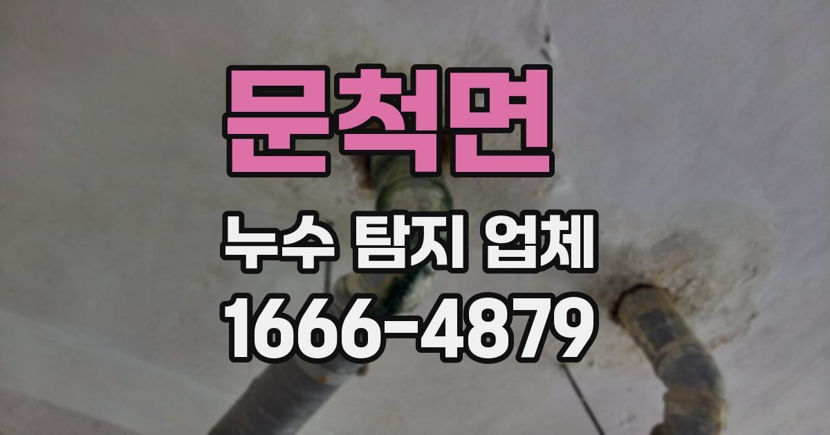 문척면 누수 탐지 업체
