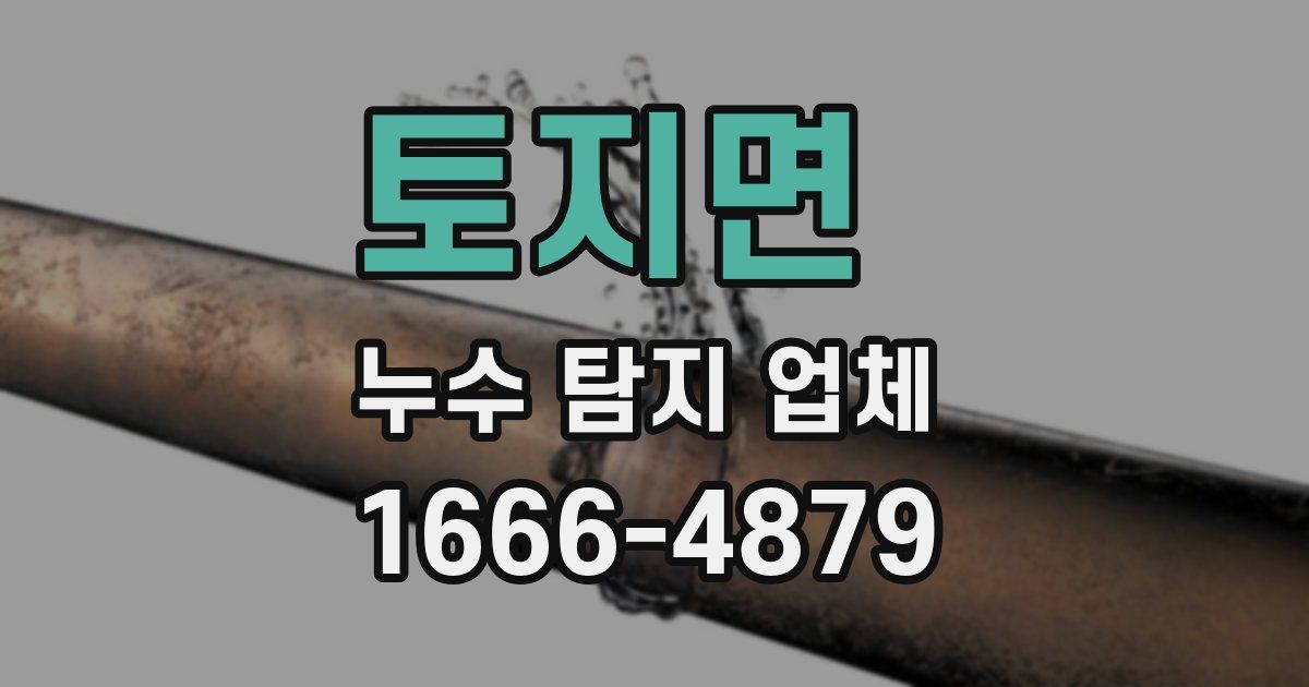 토지면 누수 탐지 업체