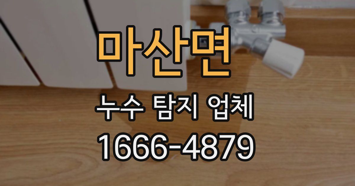 마산면 누수 탐지 업체