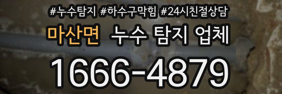 마산면 누수 탐지 업체