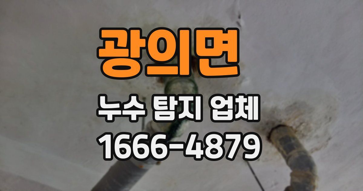 광의면 누수 탐지 업체