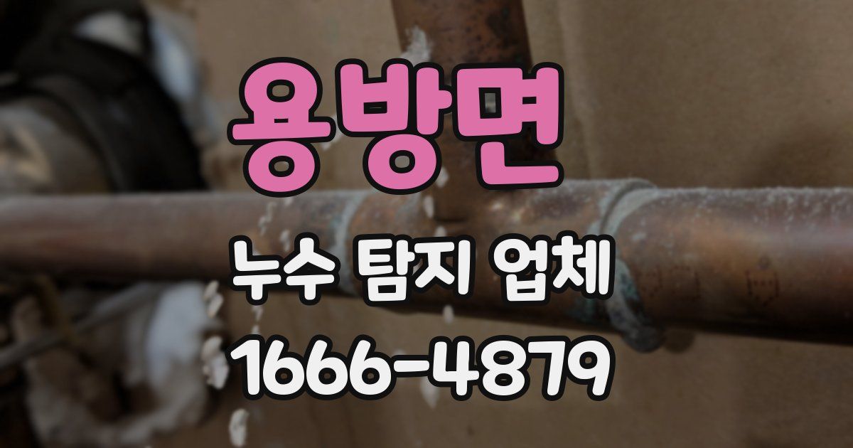 용방면 누수 탐지 업체