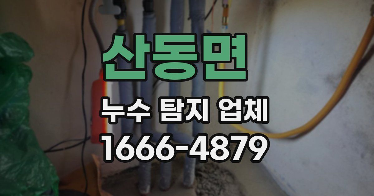 산동면 누수 탐지 업체