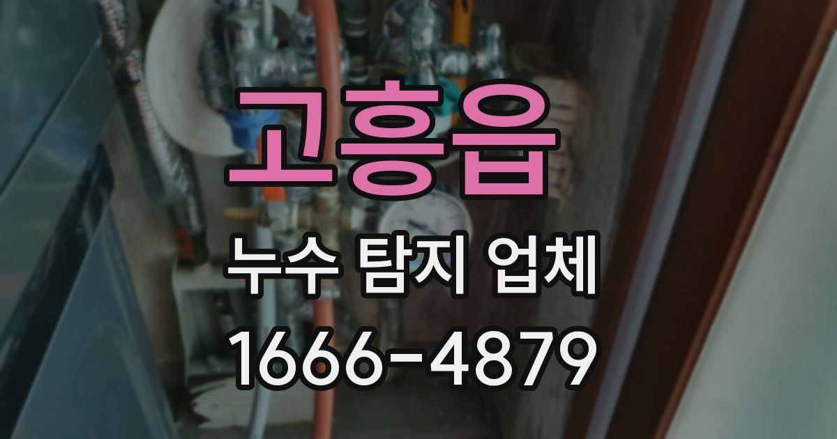 고흥읍 누수 탐지 업체