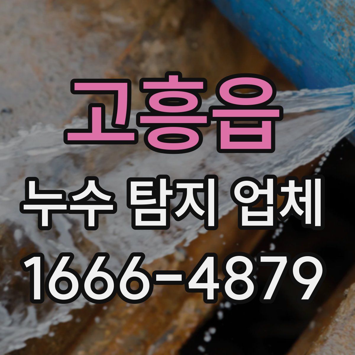고흥읍 누수 탐지 업체
