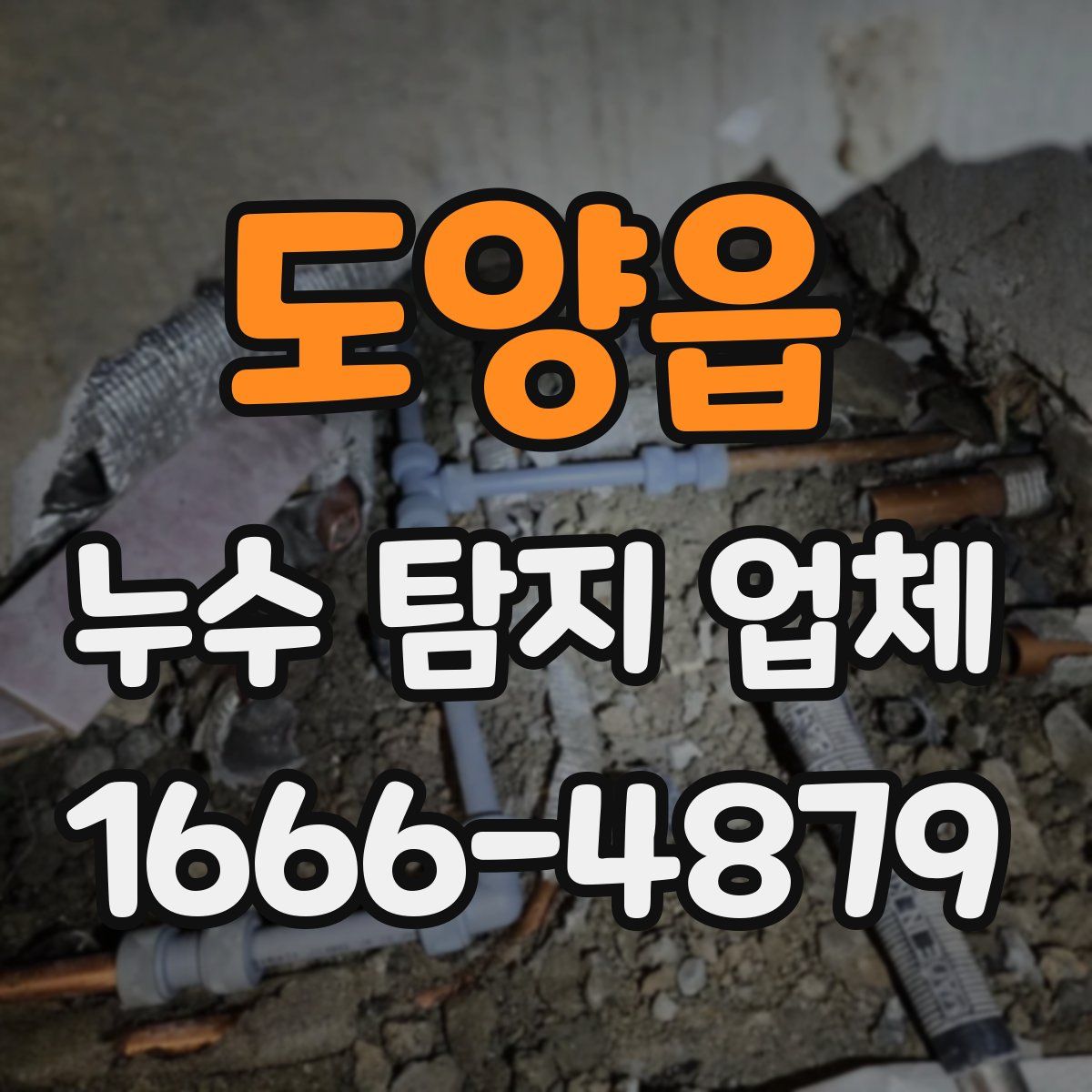 도양읍 누수 탐지 업체