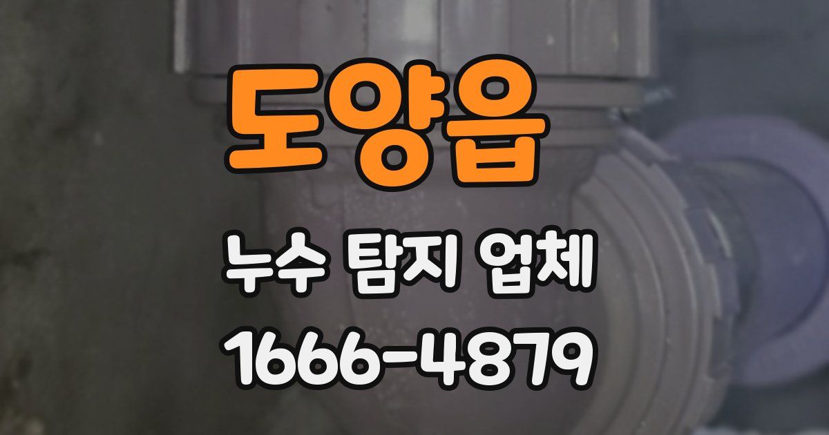 도양읍 누수 탐지 업체