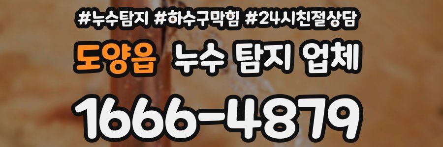 도양읍 누수 탐지 업체