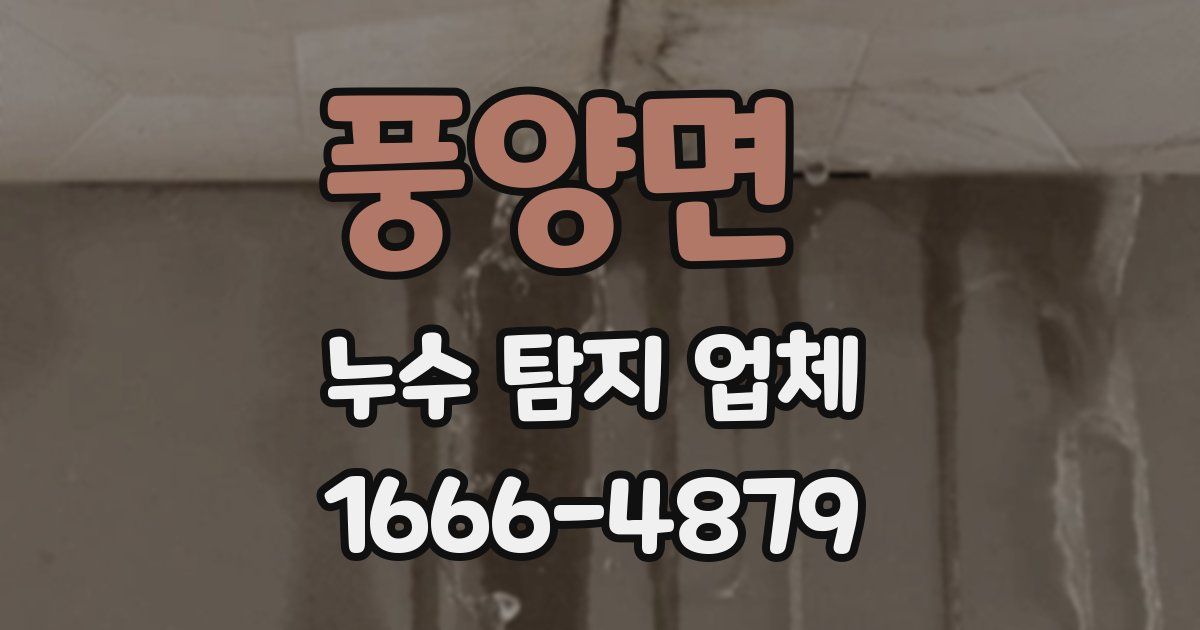 풍양면 누수 탐지 업체