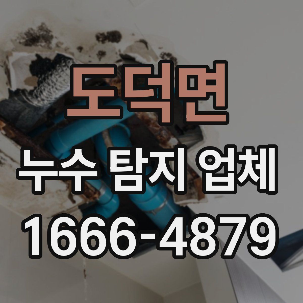 도덕면 누수 탐지 업체