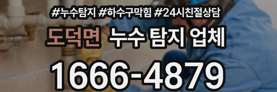 도덕면 누수 탐지 업체