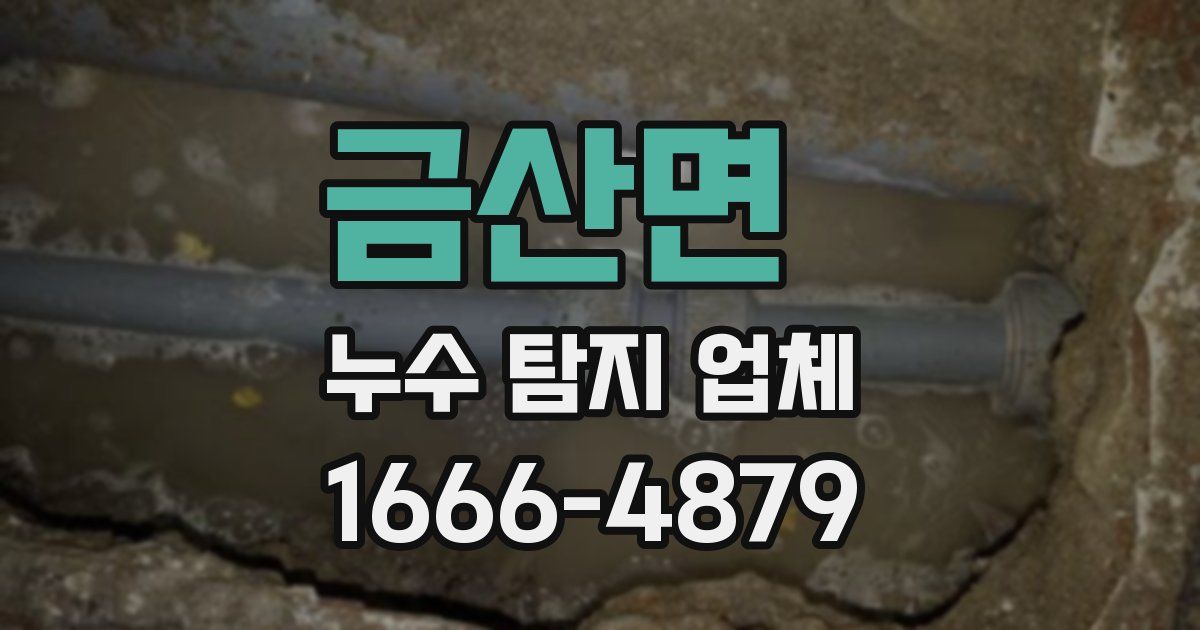 금산면 누수 탐지 업체