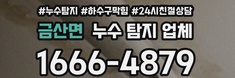 금산면 누수 탐지 업체