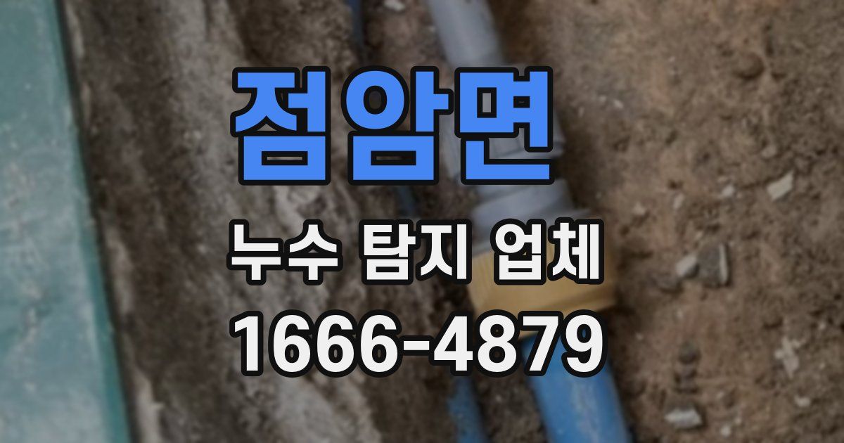 점암면 누수 탐지 업체