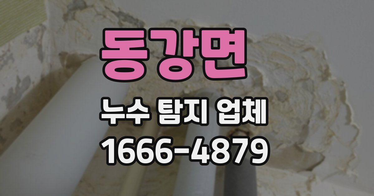동강면 누수 탐지 업체