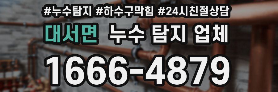 대서면 누수 탐지 업체