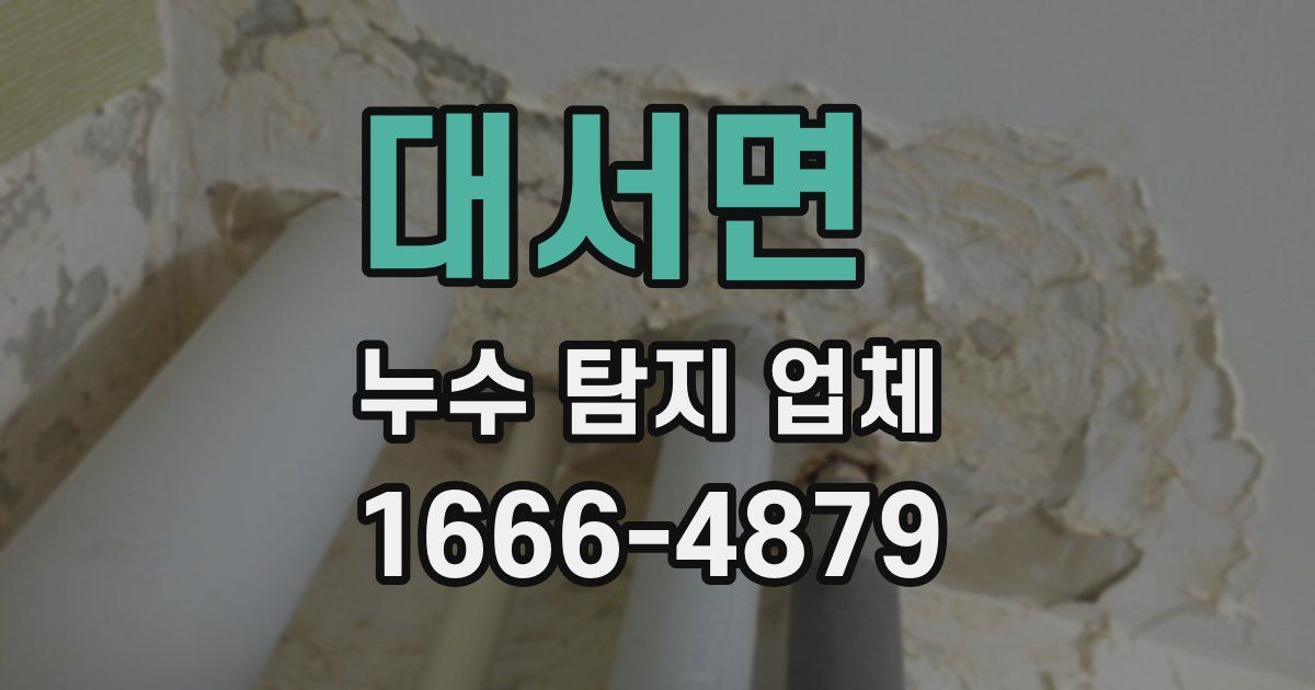대서면 누수 탐지 업체