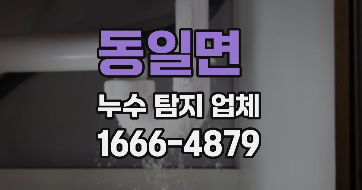 동일면 누수 탐지 업체