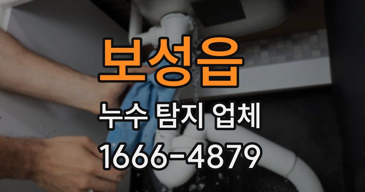 보성읍 누수 탐지 업체